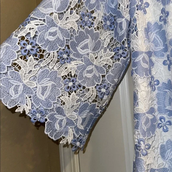 The Maggie Lace Dress - Picture 7 of 7